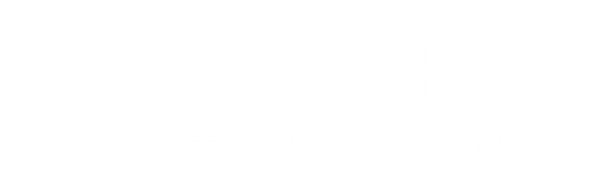 GAMSTEK 引力波智谱